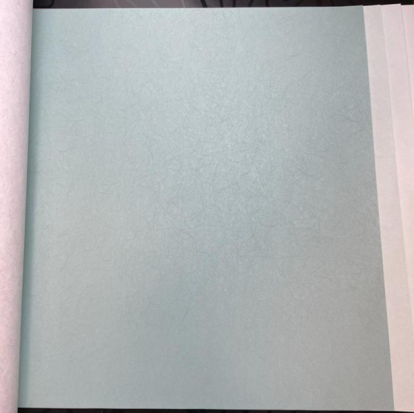 Обои Bernardo Bartalucci Legend 5068-13