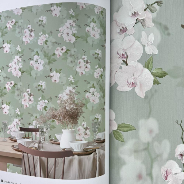 Andrea Rossi Stromboli 54342-4