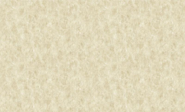 Bruno Zoff Gold 60120-1