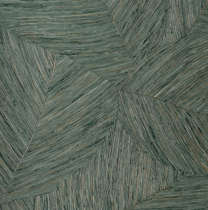 Andrea Rossi Palmaria 54471-8