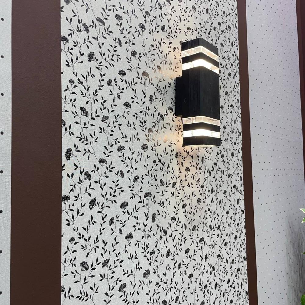 Andrea Rossi Spectrum Box 54456-12