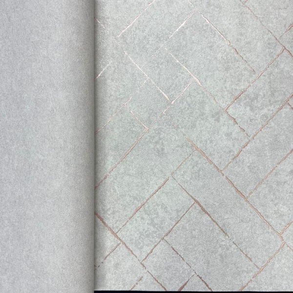 Andrea Rossi Cavolli 54423-5