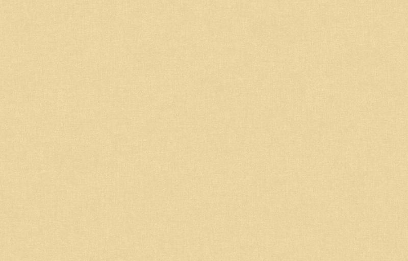 Loymina Origins ALS10 005