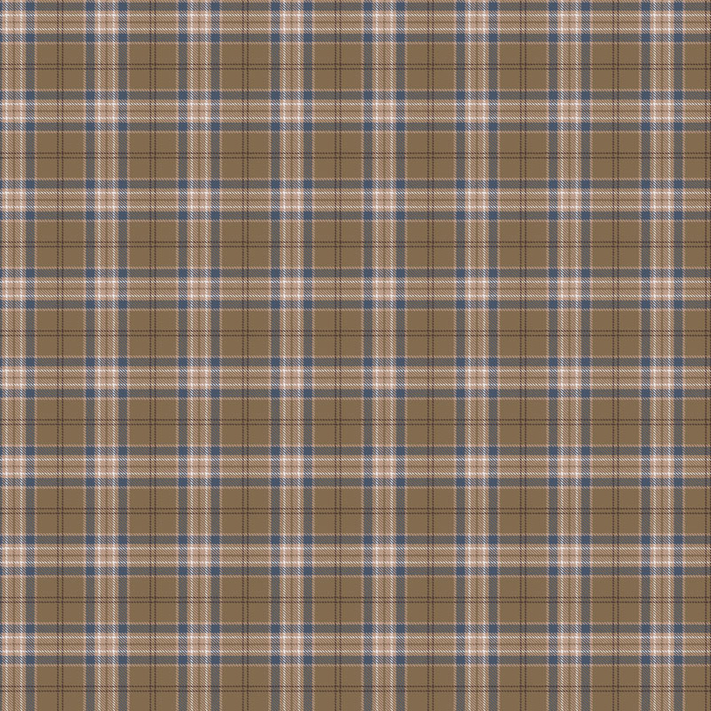 Loymina Денди KN 2004